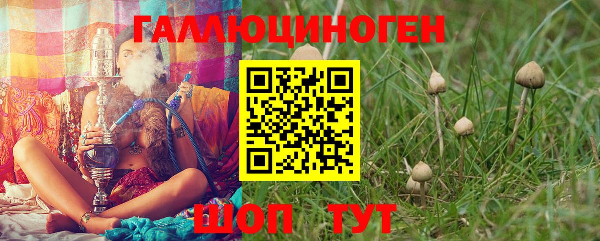 Псилоцибиновые грибы Psilocybine cubensis Семёнов